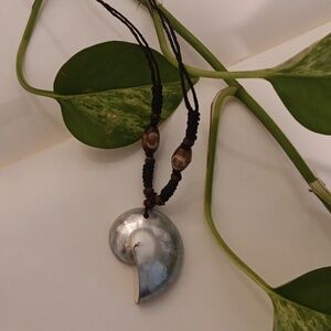 Seashell Necklace